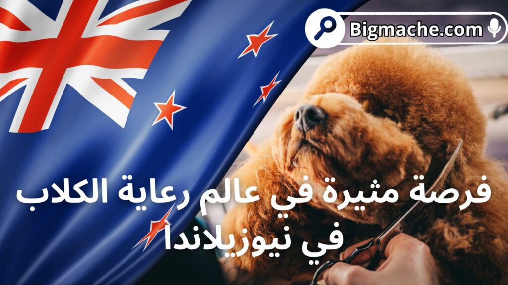 رعاية الكلاب في نيوزيلاندا