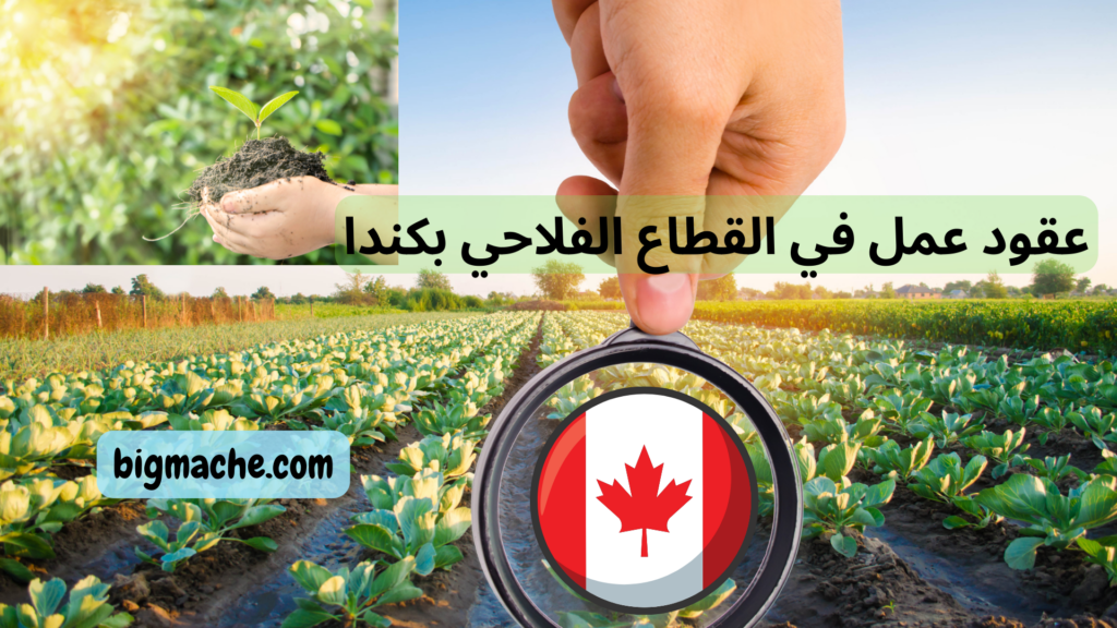عقود عمل في القطاع الفلاحي بكندا
