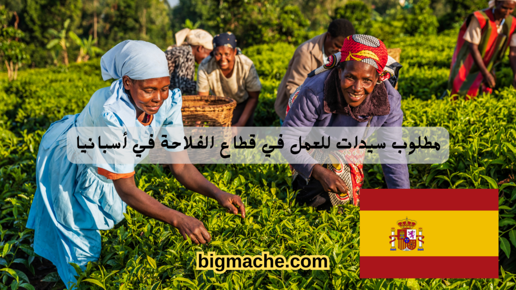 مطلوب سيدات للعمل في قطاع الفلاحة في أسبانيا
