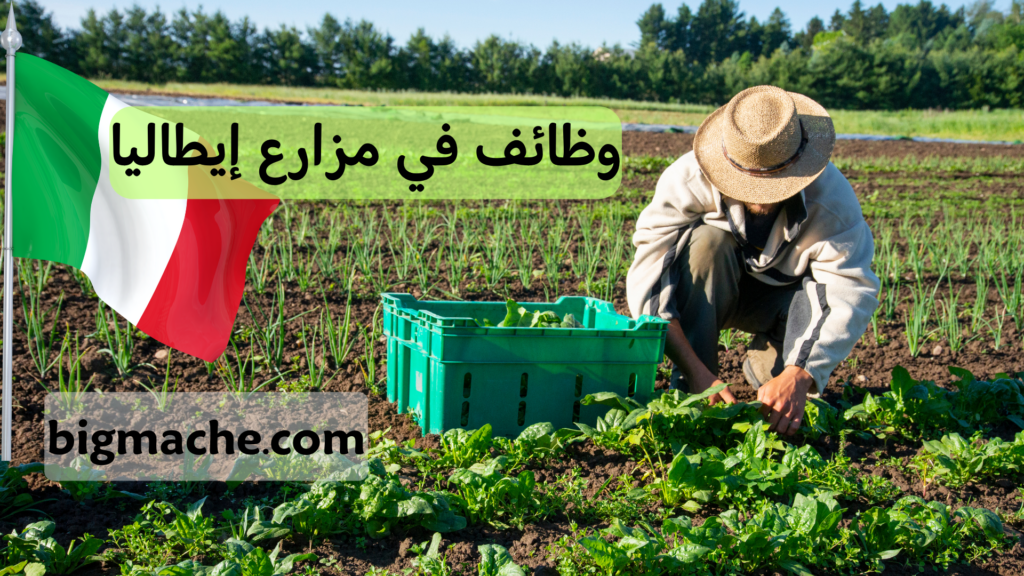 وظائف في مزارع إيطاليا