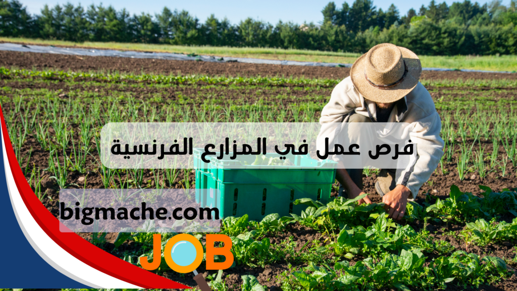 فرص عمل في المزارع الفرنسية