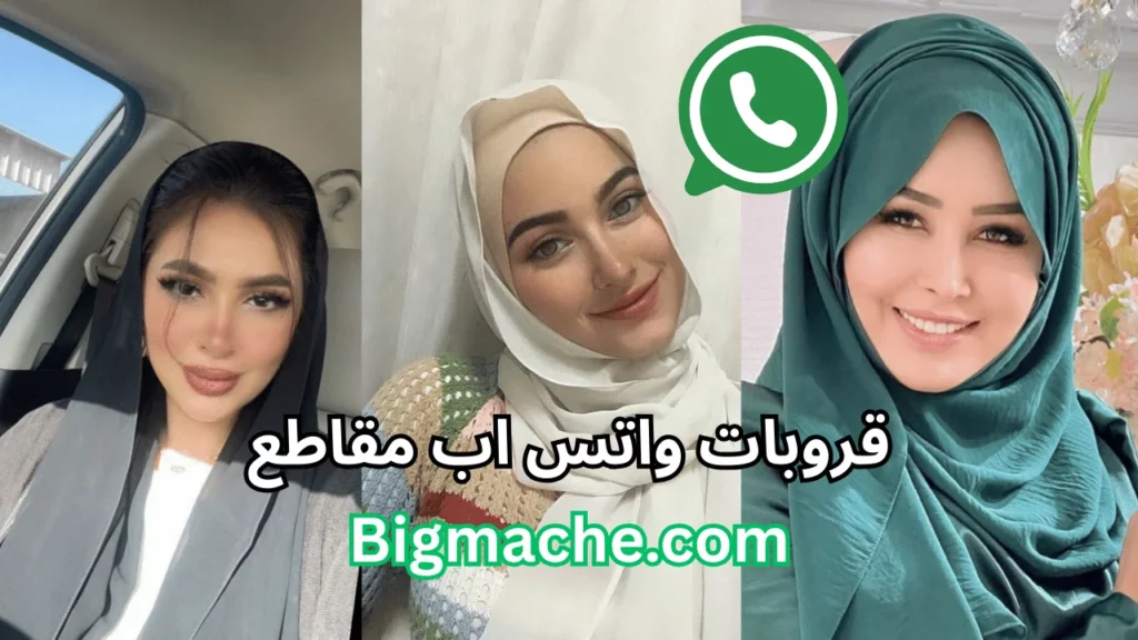 قروبات واتساب للكبار فقط